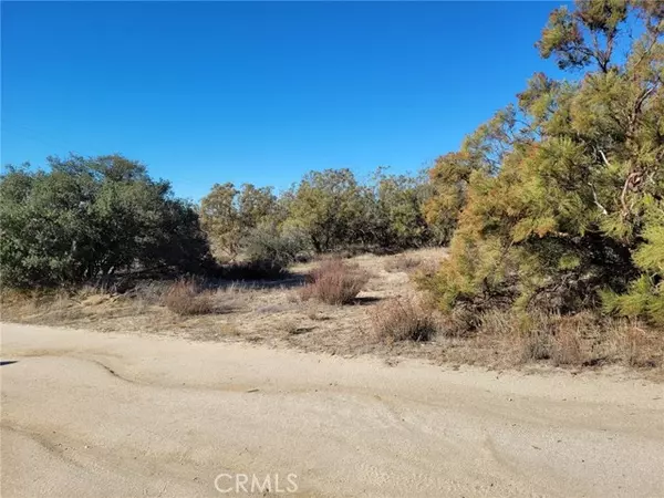 Anza, CA 92539,0 Pony Trail Rd