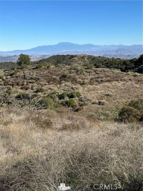 Murrieta, CA 92562,30 Golden Arrow