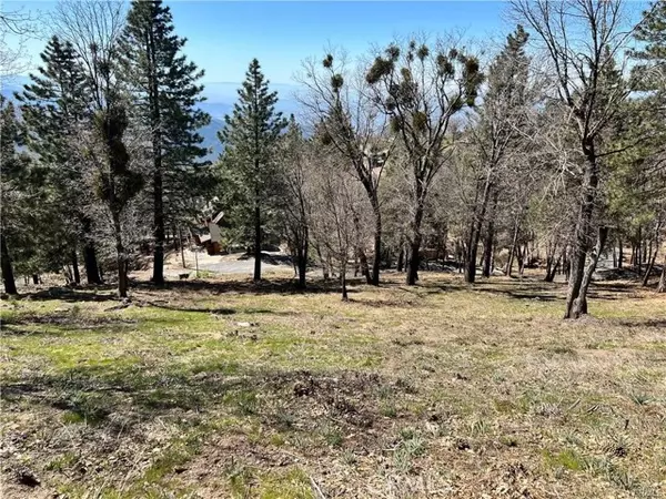 Running Springs, CA 92382,41 Fredalba