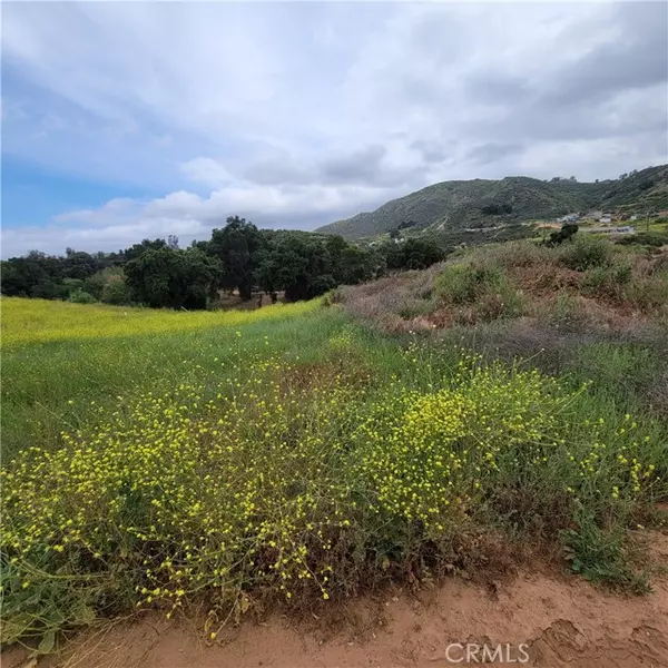 Wildomar, CA 92532,600 Acacia