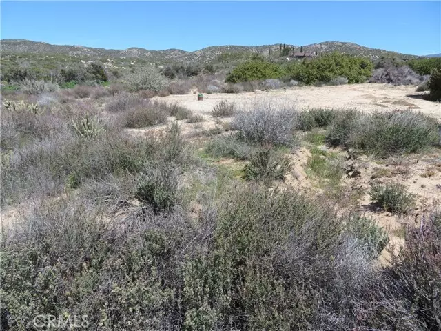 2 Spanish Dagger, Anza, CA 92539