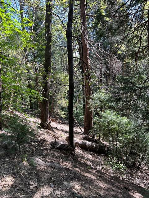 0 Sunderland, Lake Arrowhead, CA 92352