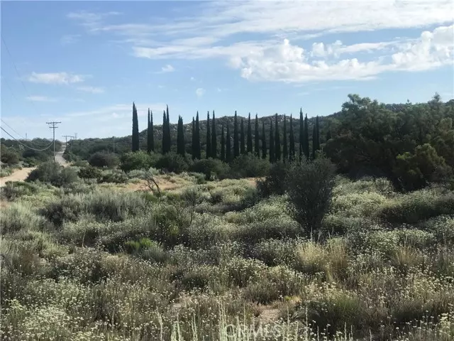 0 Tule Valley, Aguanga, CA 92536