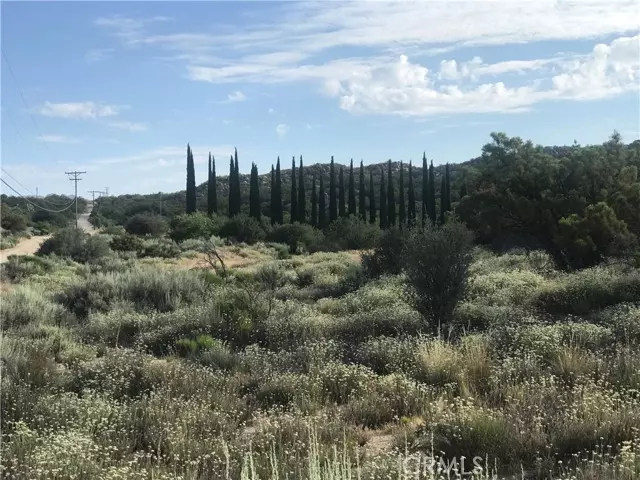 Aguanga, CA 92536,0 Tule Valley