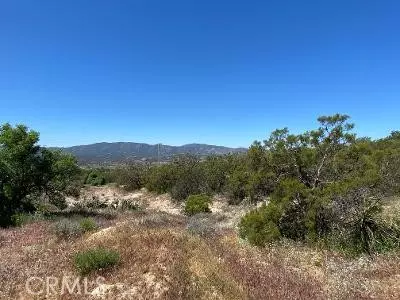 Anza, CA 92539,61700 Indian Paint Brush