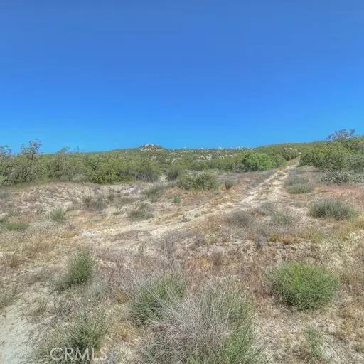 Anza, CA 92539,61700 Indian Paint Brush