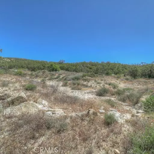 61700 Indian Paint Brush, Anza, CA 92539