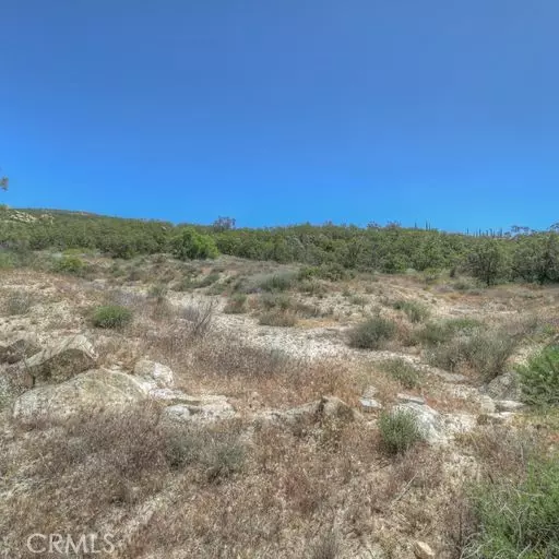 61700 Indian Paint Brush, Anza, CA 92539