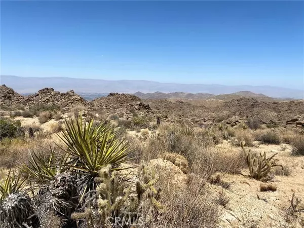 Mountain Center, CA 92260,15 Desert Calico