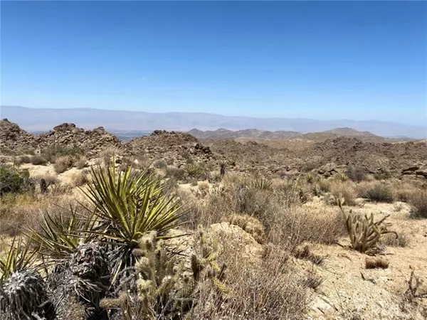 Mountain Center, CA 92260,15 Desert Calico