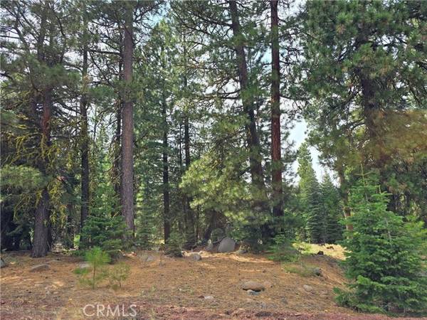 0 Grove, Alturas, CA 96101