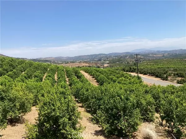 Temecula, CA 92590,39 Carancho