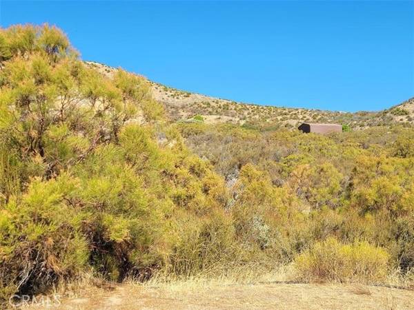 0 Gulley View, Anza, CA 92539