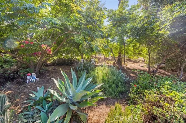 3550 Canonita Drive, Fallbrook, CA 92028