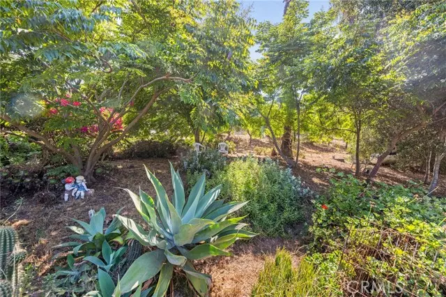 3550 Canonita Drive, Fallbrook, CA 92028