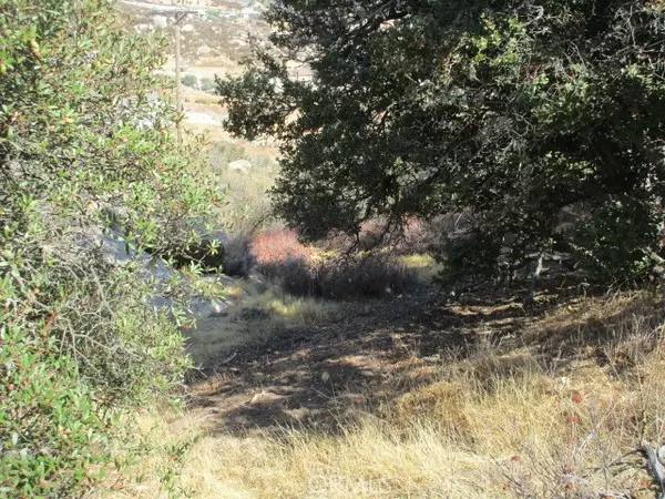 Aguanga, CA 92536,923 Wildlife Trail