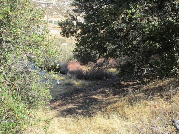 Aguanga, CA 92536,923 Wildlife Trail