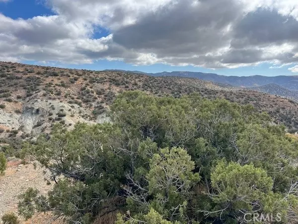 Tehachapi, CA 93561,25505 Sun View