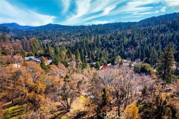 0 Briarwood, Crestline, CA 92325