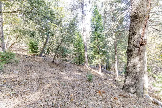 0 Alder Creek Road, Cedarpines Park, CA 92322