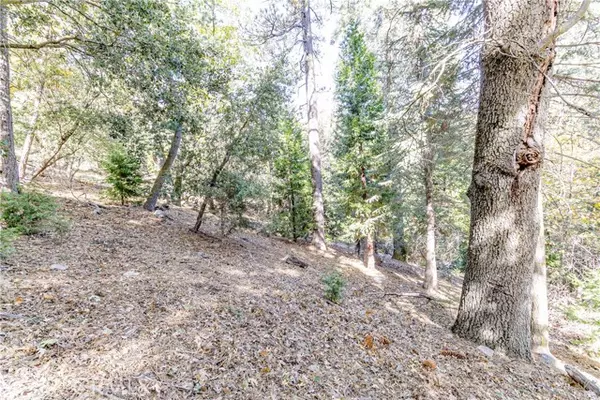 0 Alder Creek Road, Cedarpines Park, CA 92322