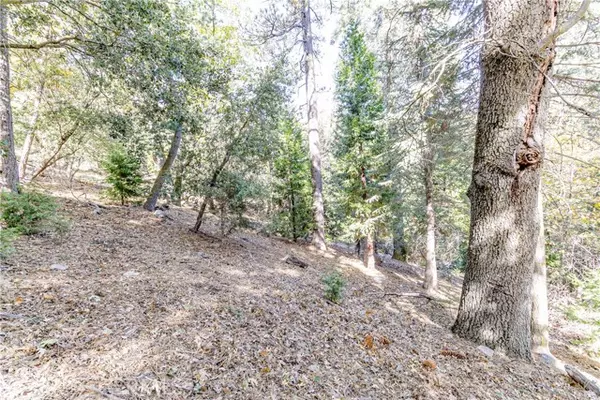 0 Alder Creek Road, Cedarpines Park, CA 92322