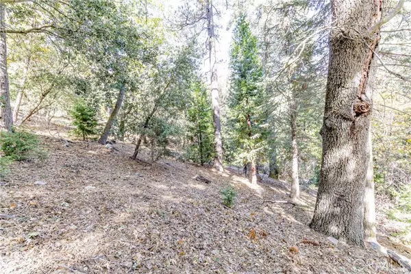 0 Alder Creek Road, Cedarpines Park, CA 92322