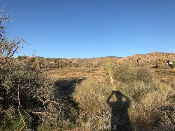 Pioneertown, CA 92268,0 Ox Yok