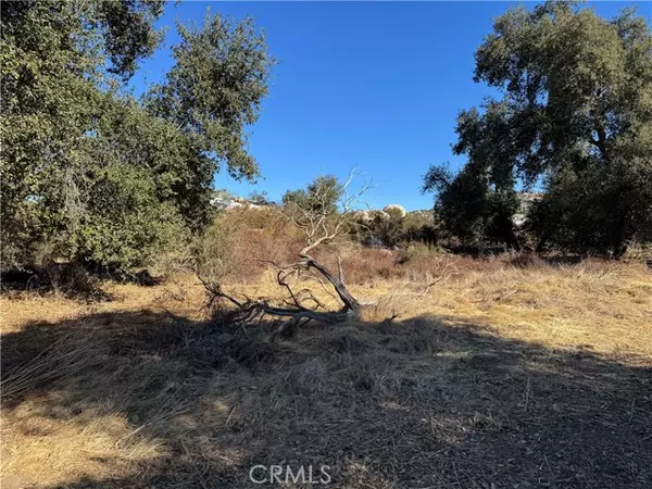 0 Ballinger, Sage, CA 92544