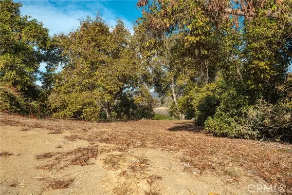 Valley Center, CA 92082,48 Pauma Ridge