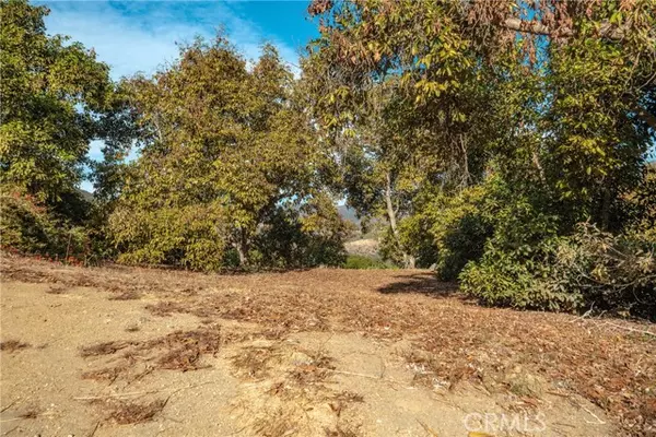 Valley Center, CA 92082,48 Pauma Ridge