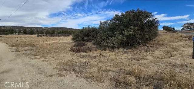 1 Coyote Canyon, Anza, CA 92539