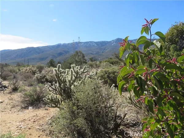 155 Lot #155 Buckthorn, Mountain Center, CA 92561