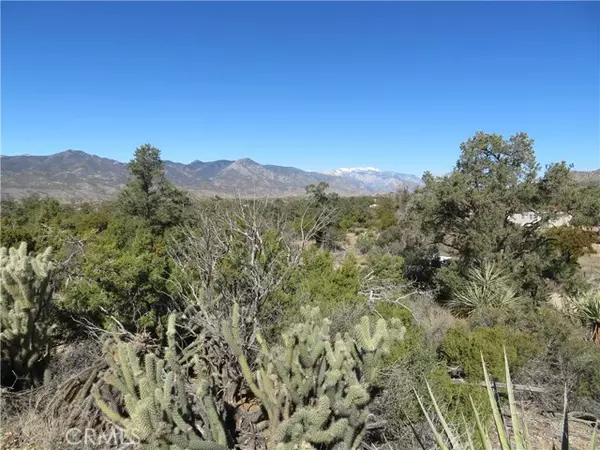 Mountain Center, CA 92561,155 Lot #155 Buckthorn