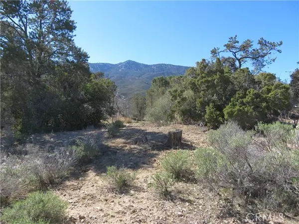 Mountain Center, CA 92561,155 Lot #155 Buckthorn