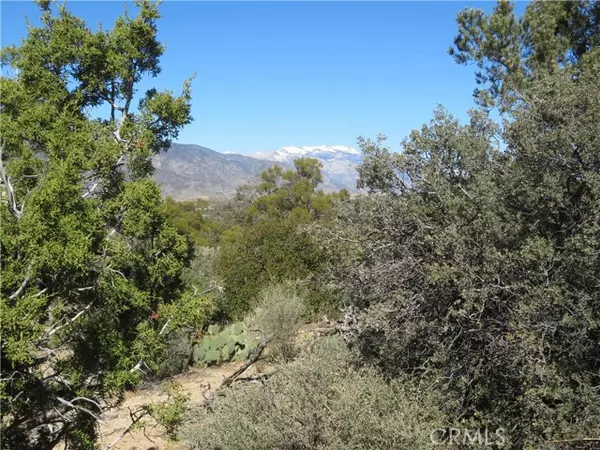 Mountain Center, CA 92561,155 Lot #155 Buckthorn