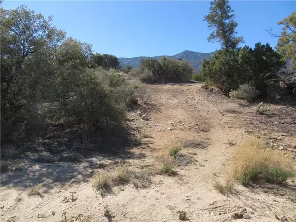 Mountain Center, CA 92561,155 Lot #155 Buckthorn