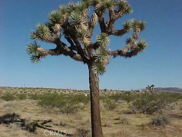 Landers, CA 92285,528 Landers