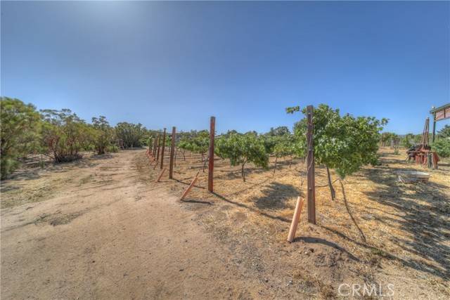57820 Valley Vista, Anza, CA 92539