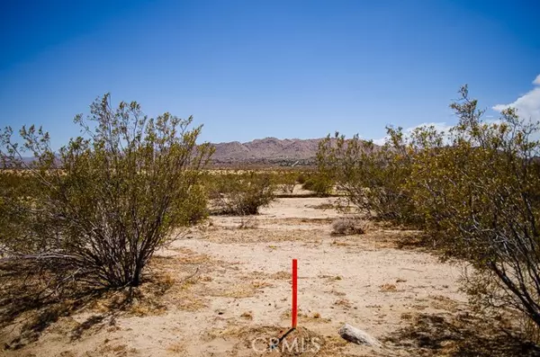 Joshua Tree, CA 92252,0 Olympic Rd