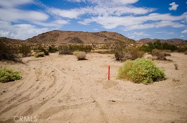 Joshua Tree, CA 92252,0 Olympic Rd