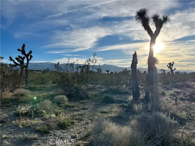 0 Buckwheat Road, Pinon Hills, CA 92372