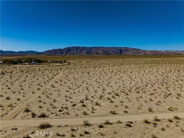 29 Palms, CA 92277,0 Fremontia