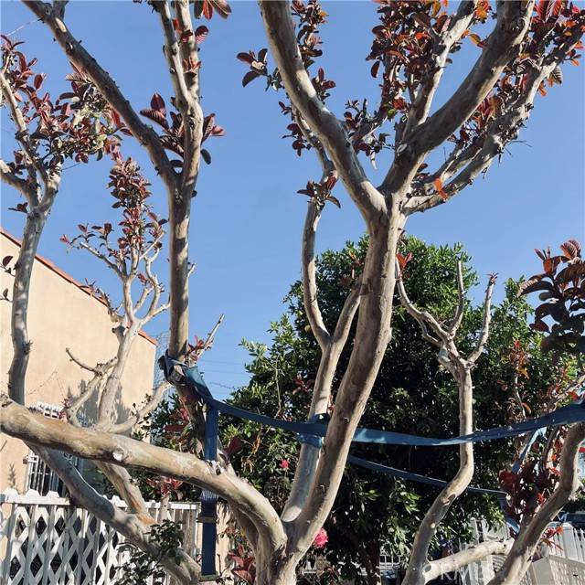 Los Angeles, CA 90002,9430 Parmelee Avenue
