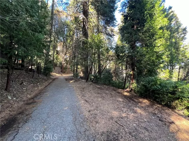 Crestline, CA 92325,24355 Albrun