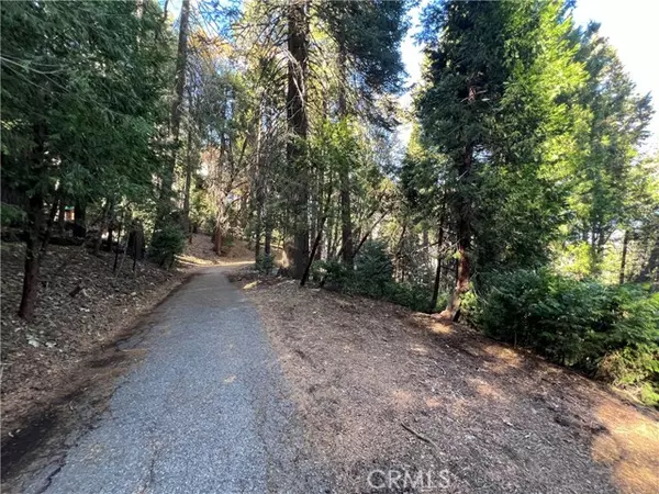 Crestline, CA 92325,24355 Albrun