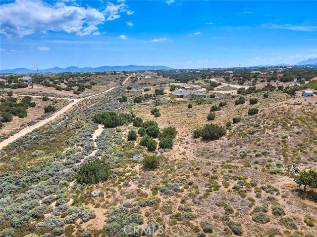 Oak Hills, CA 92334,0 Verbena