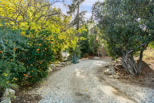 Ojai, CA 93023,3500 Matilija Canyon Road