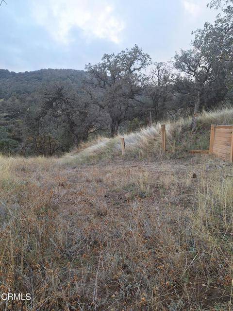 28600 Ridgeview, Tehachapi, CA 93561