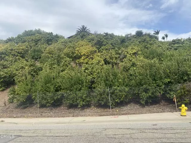 Santa Paula, CA 93060,233 E View